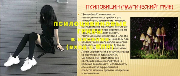 mdma Бородино
