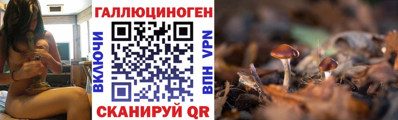 Галлюциногенные грибы мицелий  даркнет состав  Волосово  кракен рабочий сайт 